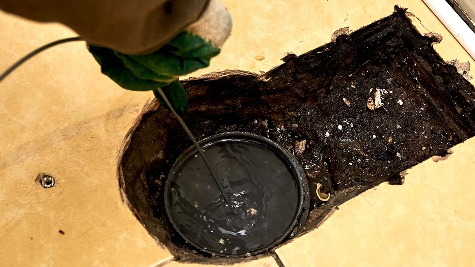 Best Plumbing Services For Leesburg Homes Water Heaters Drains Leaks Sewer Lines Compared Plumber clearing a residential floor drain with a drain snake, representing drain and sewer plumbing services for Leesburg homes